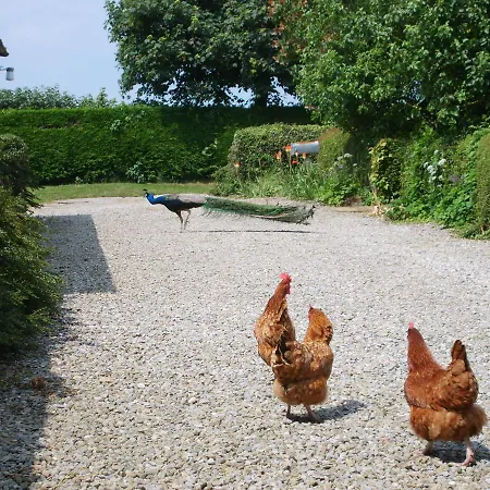 Hazelwood Farm 4* York