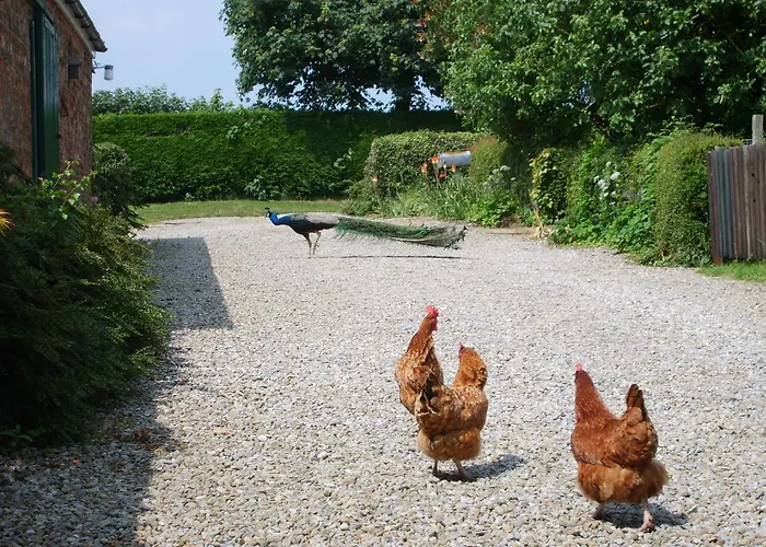 Hazelwood Farm 4* Γιορκ